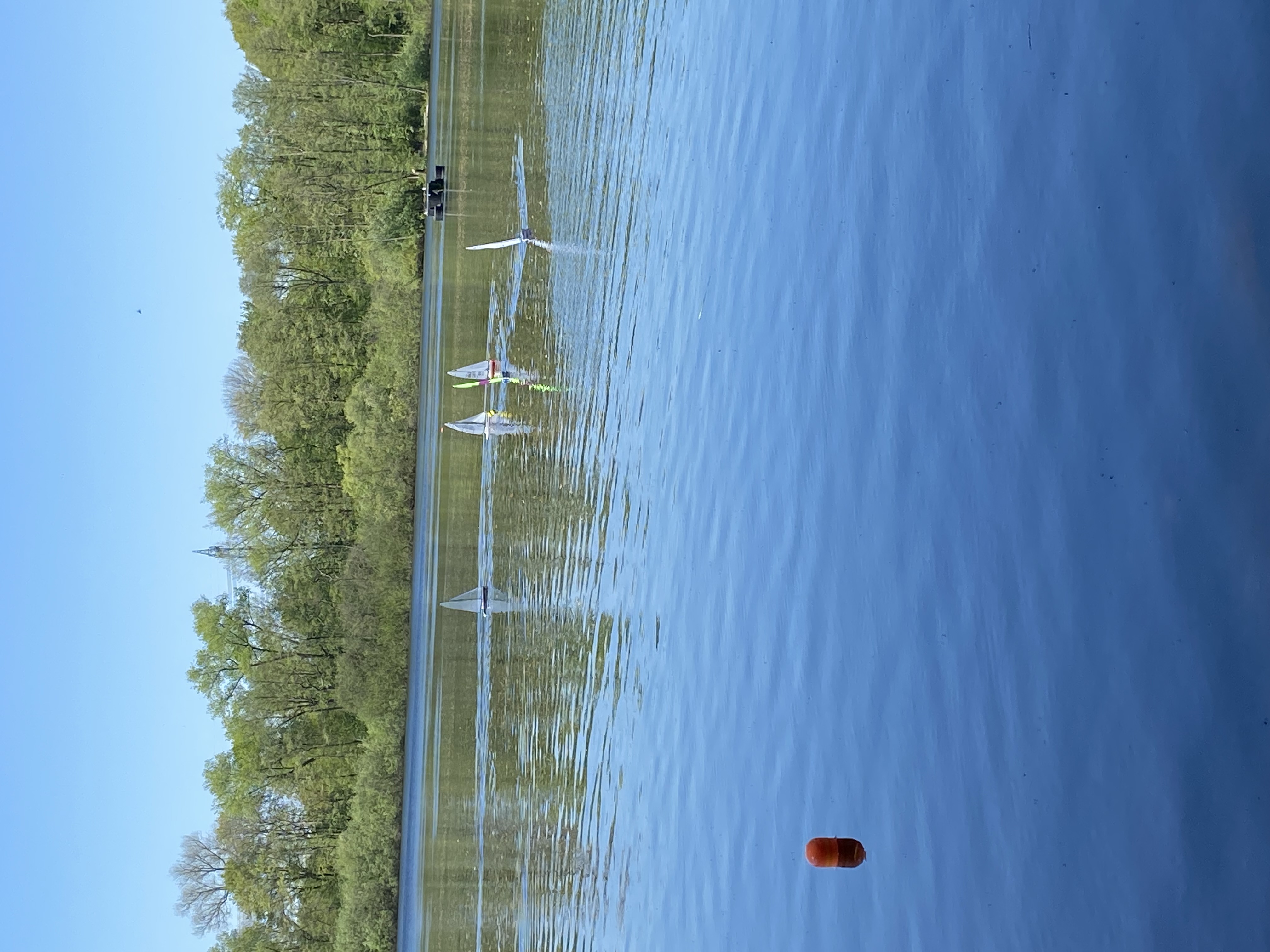 IMG_8503.jpeg