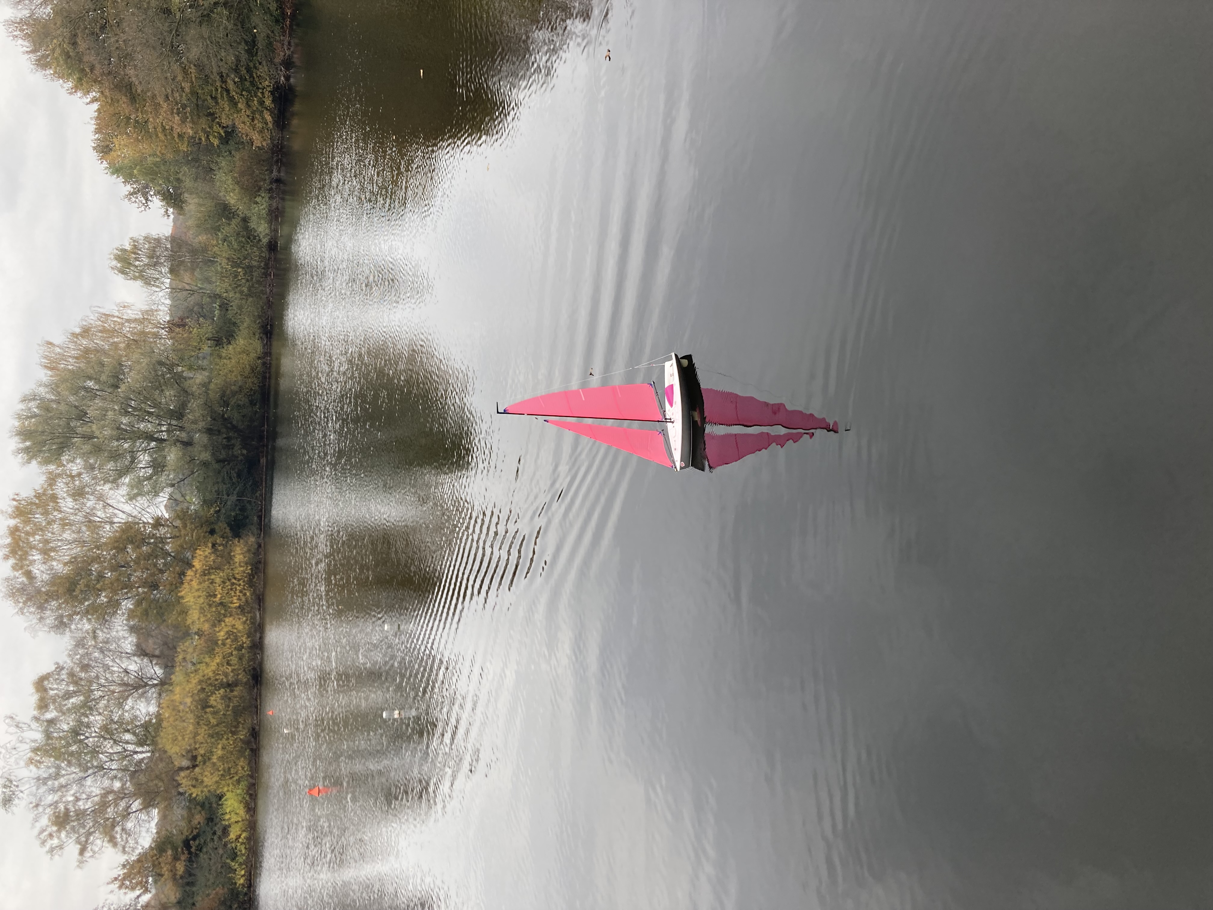 IMG_3857.jpeg