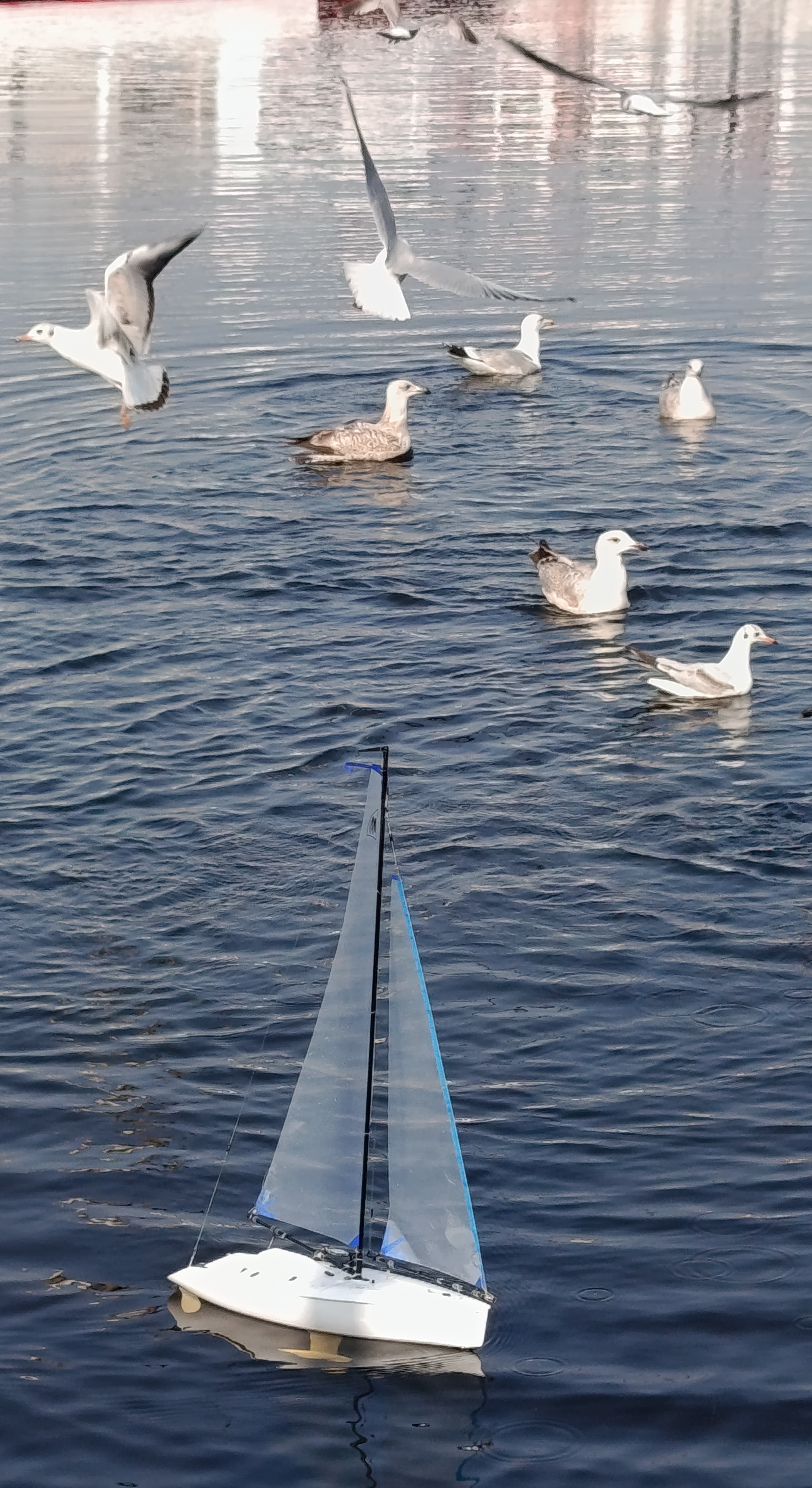 Bis zum nächsten Mal.