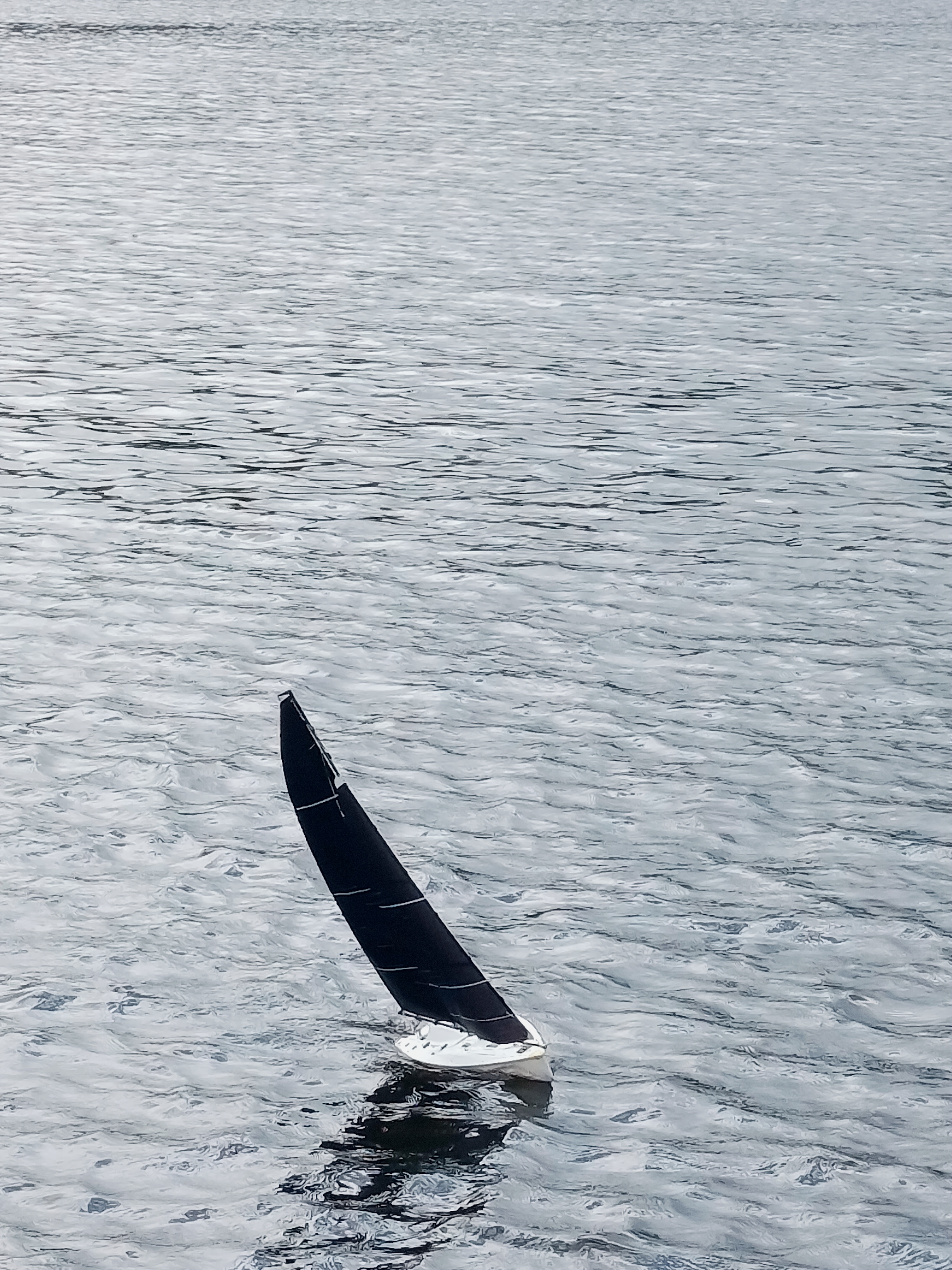 Leichter Wind, nicht soviel Welle, segelt gut.