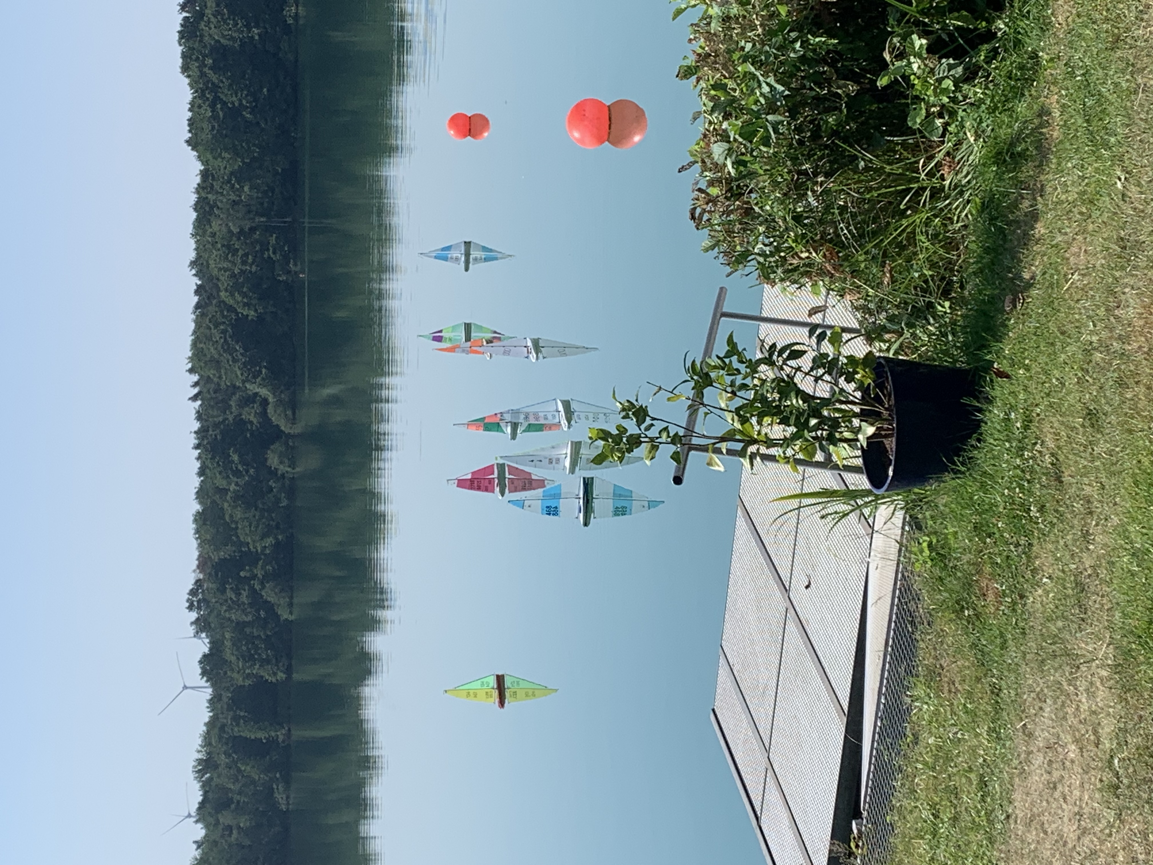 IMG_3798.jpeg